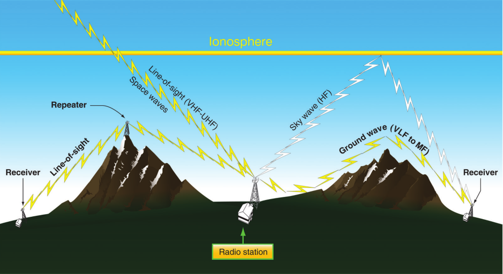 Image for მიმღები